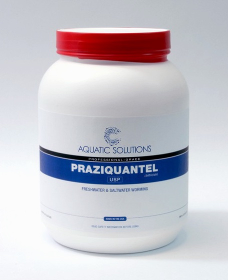 Praziquantel Rezeptfrei Deutschland Generika